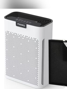 Air Purifier For Homes